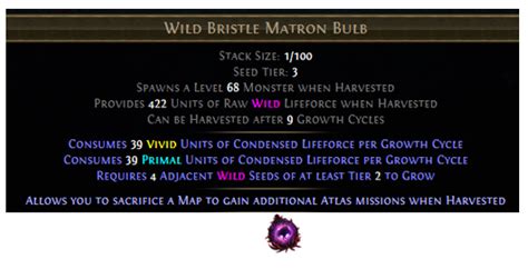 wild bristle matron
